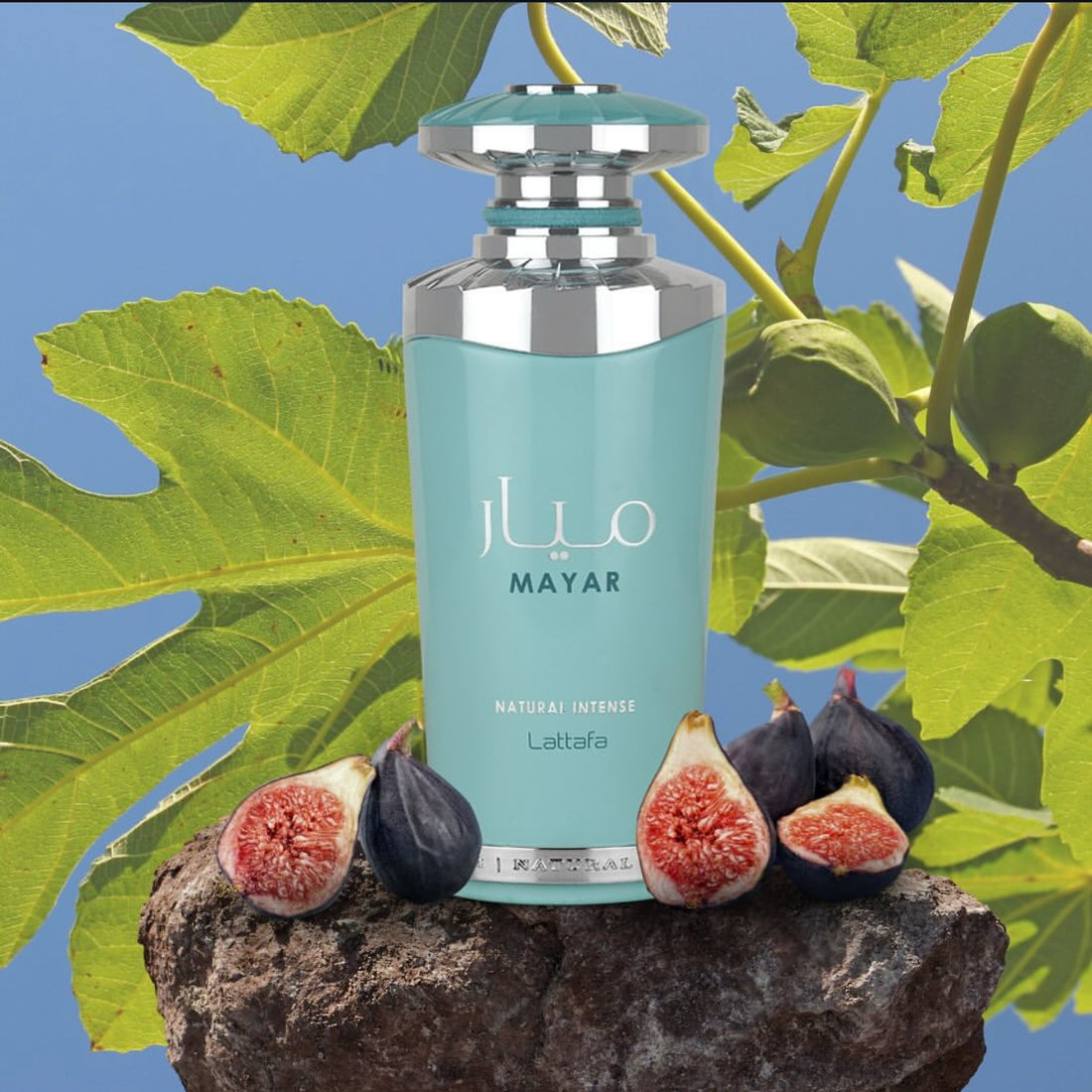 Mayar | Luxurious & Captivating Fragrance for Everyday Elegance