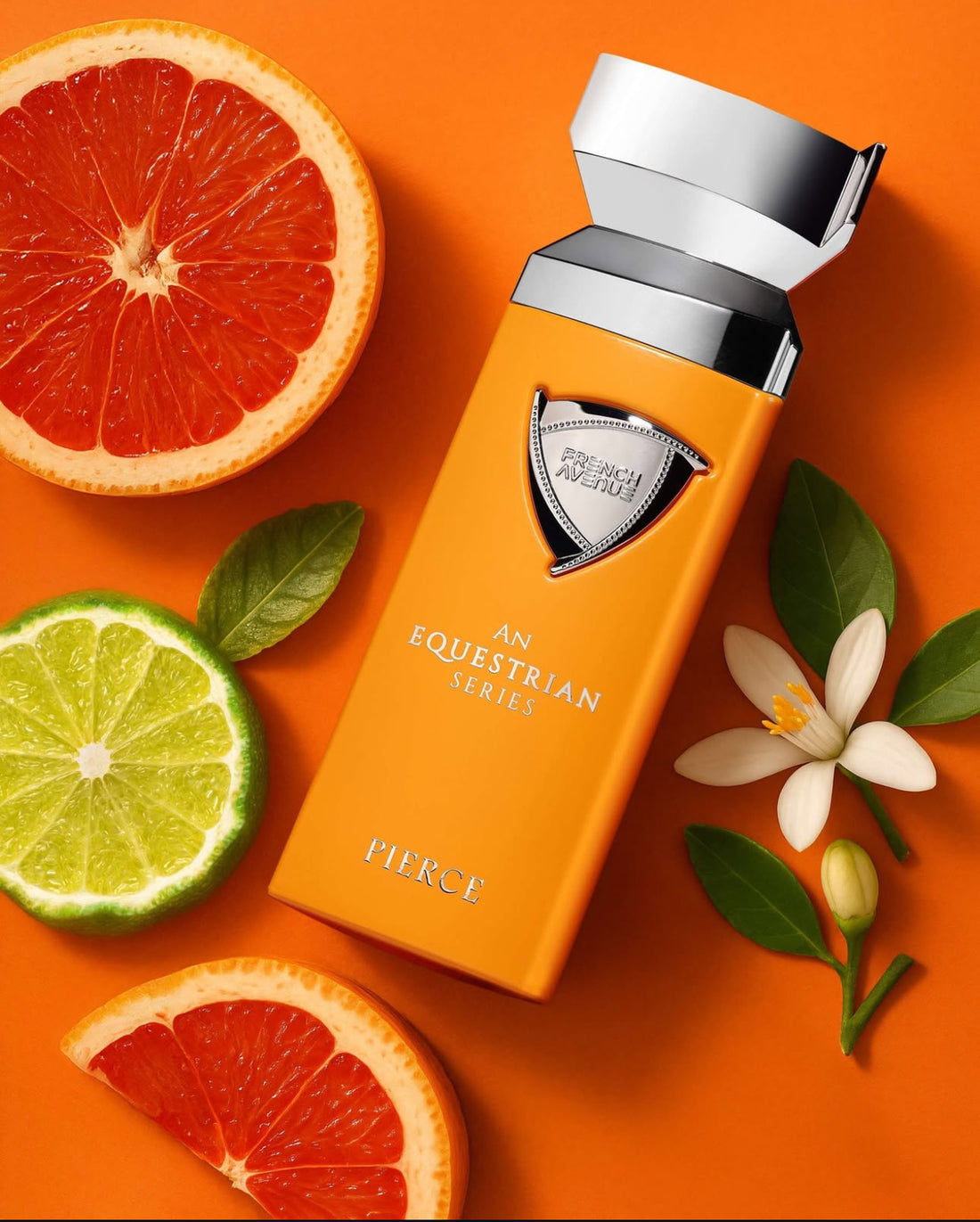 Equestrian Series - French Avenue