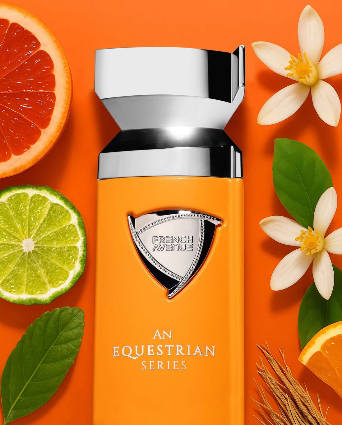 Equestrian Series - French Avenue