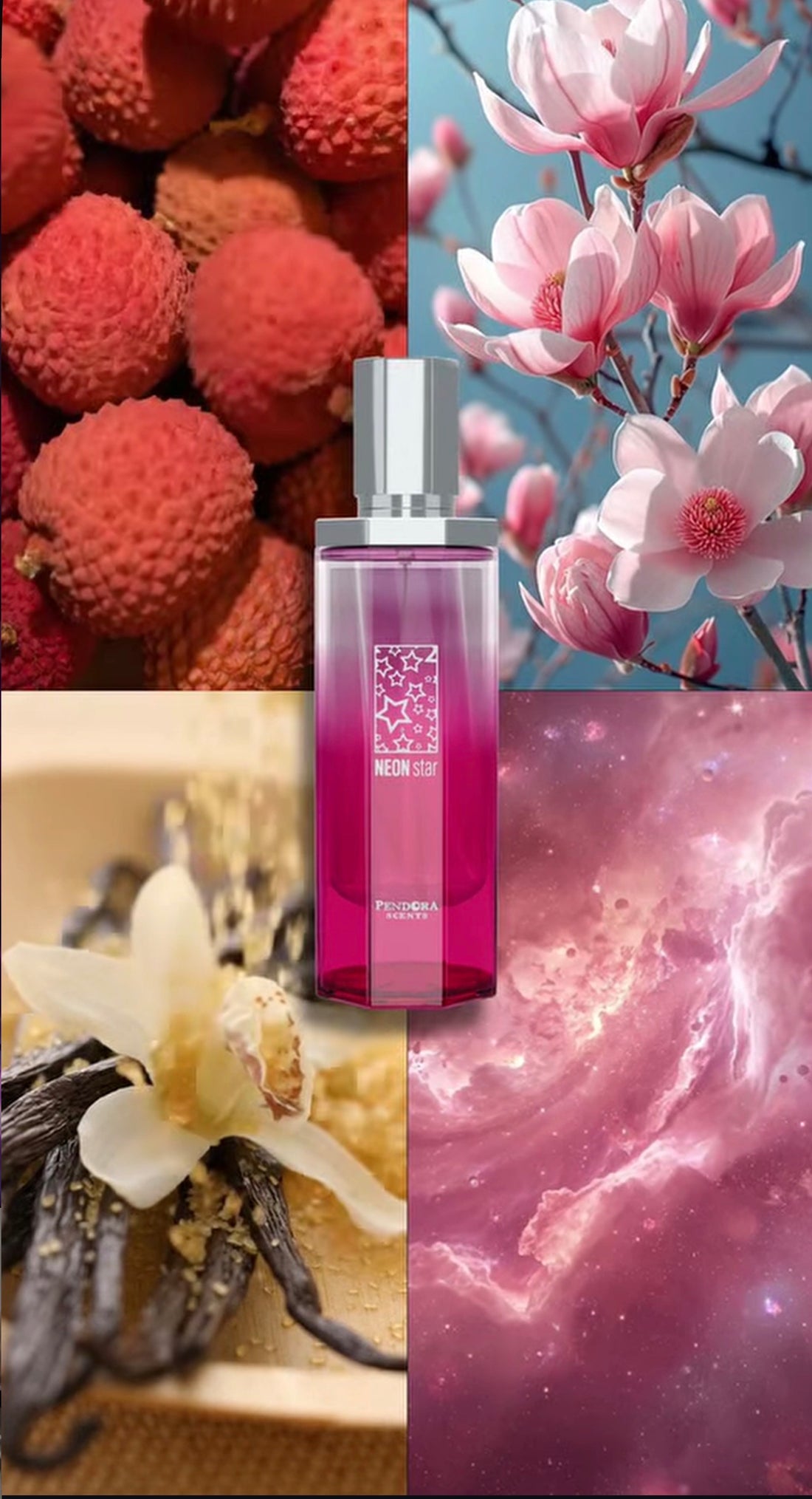 Neon Star - Pendora Paris Corner- Eau de Parfum